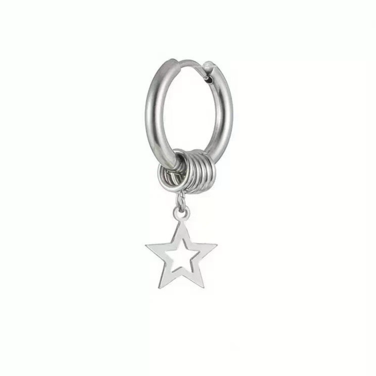5 pointed Star Earrings