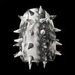 Reptile Shell Pod Backpack
