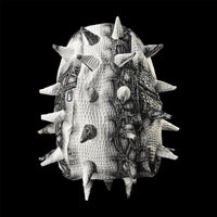 Reptile Shell Pod Backpack