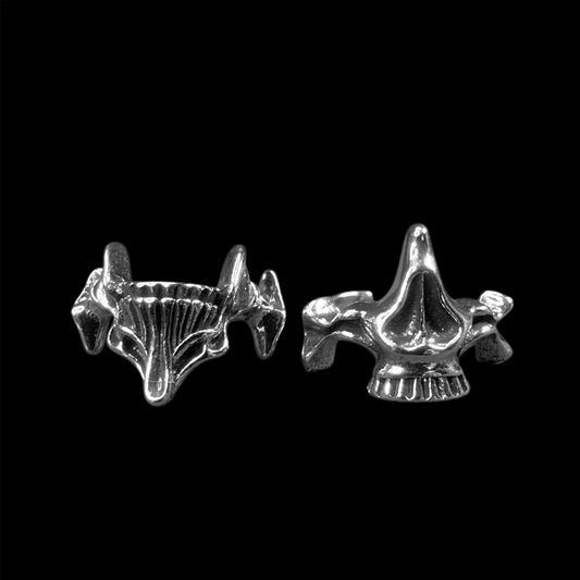 Mandible Arch Ring Set