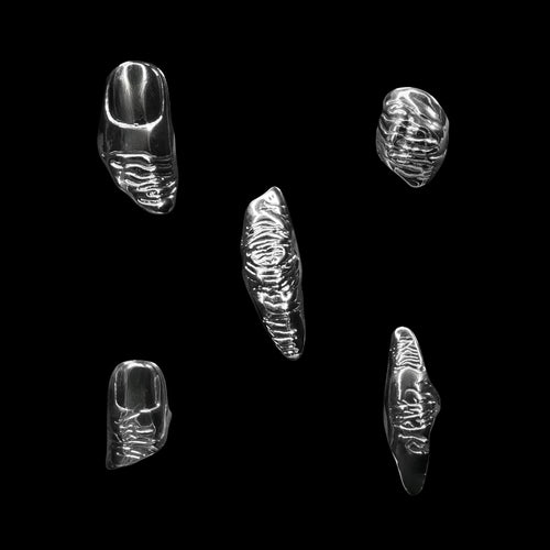 Flesh Archetype Ring Set
