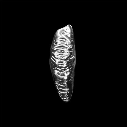 Flesh Archetype Ring Set