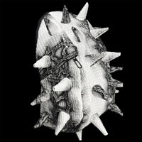 Reptile Shell Pod Backpack