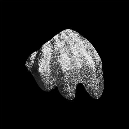 Flesh Archtype Knuckle Ring
