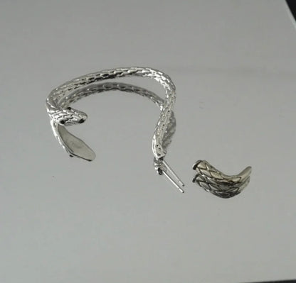 Silver Serpentine Earring